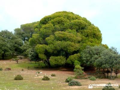 Garganta de Picadas - Vía Verde del Alberche; rutas senderismo sierra de madrid